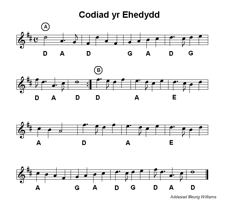 Codiad yr ehedydd