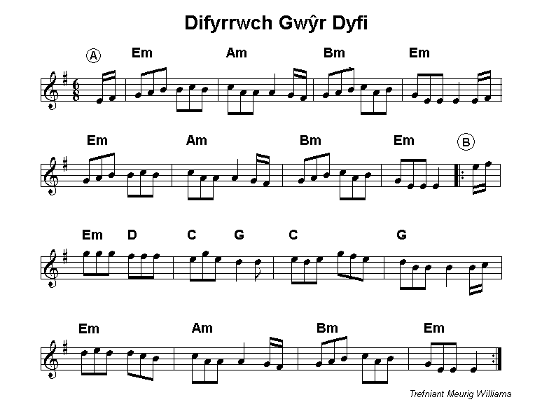 Difyrrwch Gwŷr Dyfi