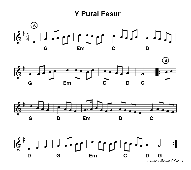 Y Pural Fesur